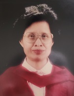 Professor Pui-Chee WU